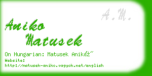 aniko matusek business card